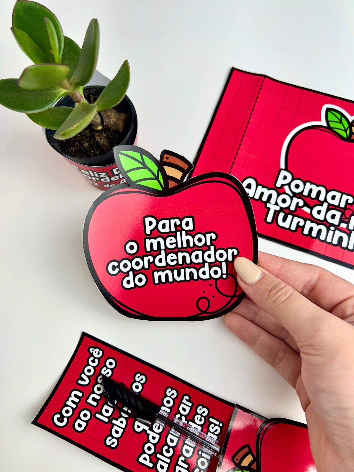 LEMBRANCINHA DIA DO COORDENADOR PEDAGÓGICO – Flávia Costa Prof ...